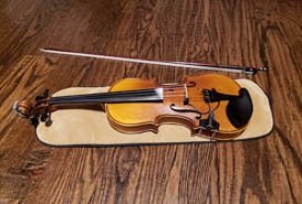 Violin